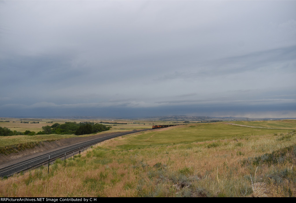 BNSF 8461/9772